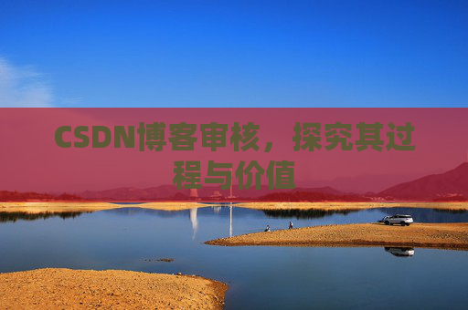 CSDN博客审核，探究其过程与价值